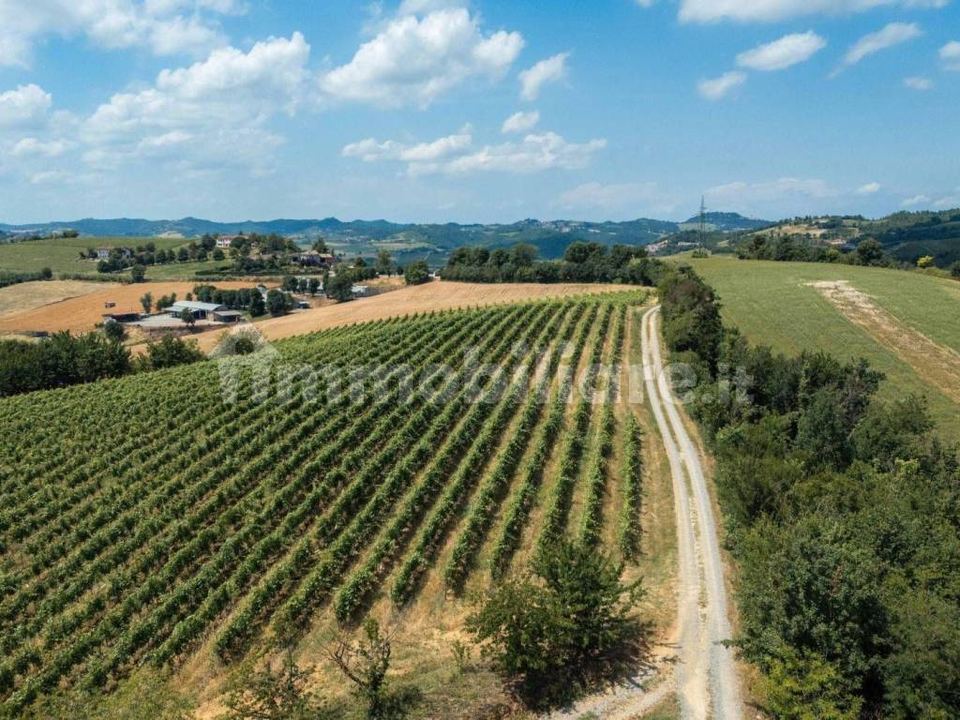 Rustico in pietra restaurato, Grazzano Badoglio: foto 4 di 4